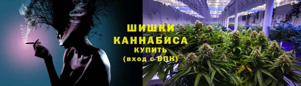 PSILOCYBIN Алзамай