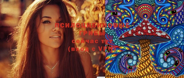 стаф Алексеевка