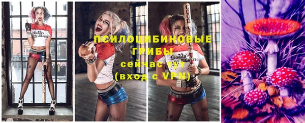 стаф Алексеевка