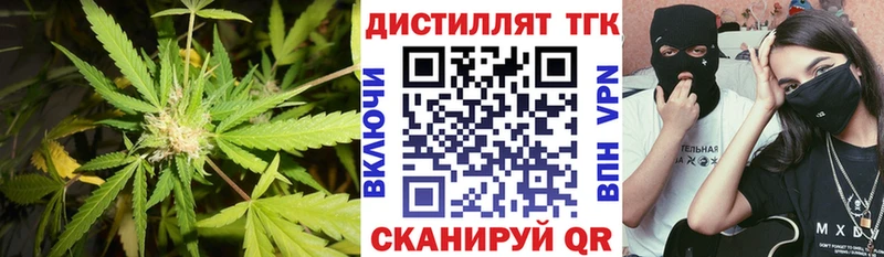 это телеграм  Кашин  ТГК вейп 